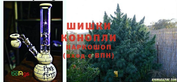 мдпв Коряжма