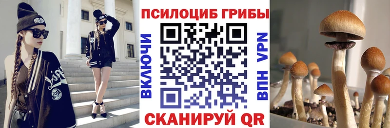 Псилоцибиновые грибы Cubensis  Удачный 